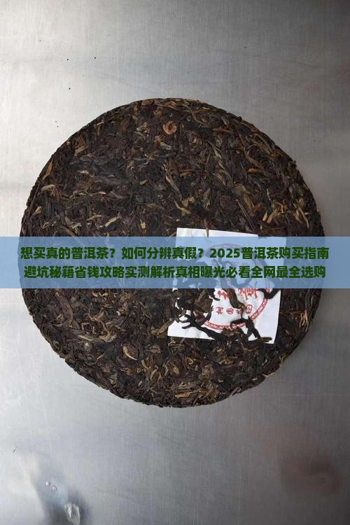 想买真的普洱茶
