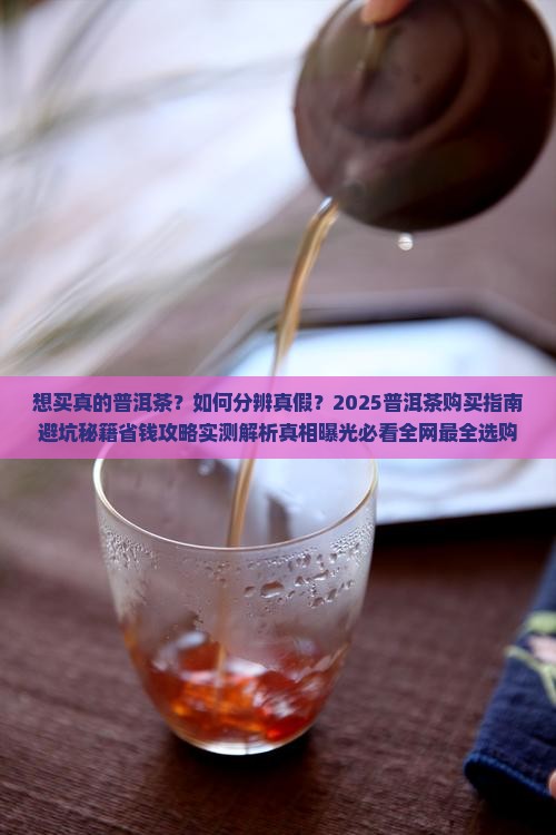 想买真的普洱茶