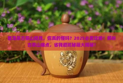 普洱茶古茶山揽胜