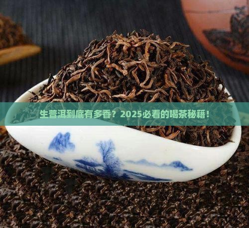 生普洱价格最香的普洱茶