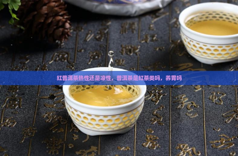 红普洱茶热性还是凉性