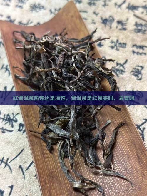 红普洱茶热性还是凉性