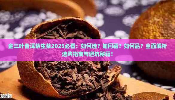金三叶普洱茶生茶