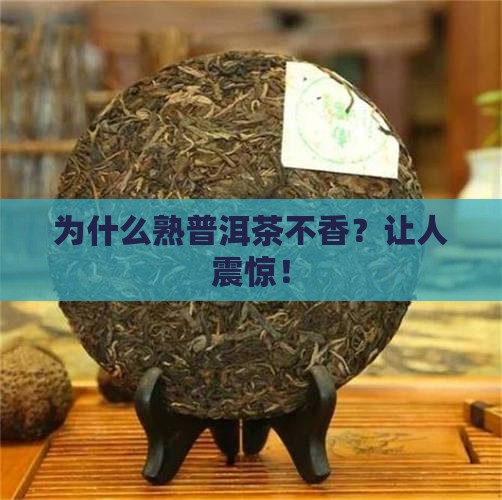 熟普洱茶为什么不香