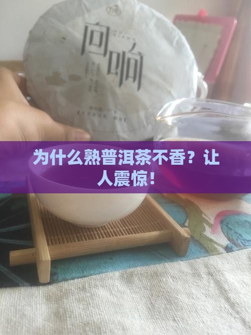 熟普洱茶为什么不香