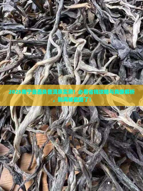 南宁曼西良普洱茶