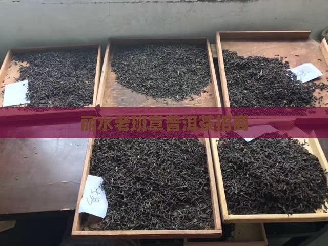 丽水资深老班章招商