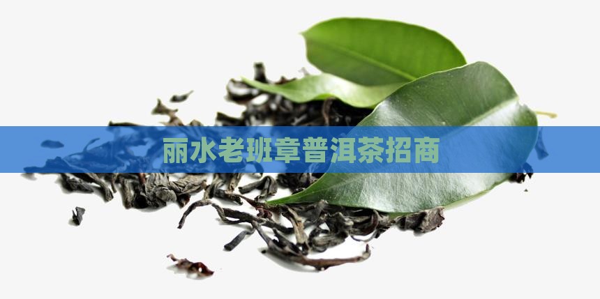 丽水资深老班章招商