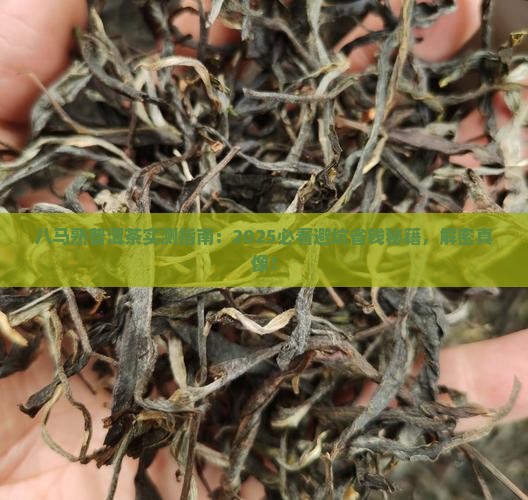 八马生肖熟普洱茶