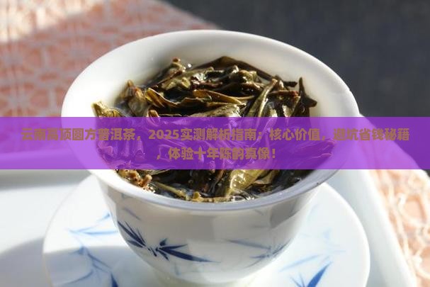 云南高顶圆方普洱茶