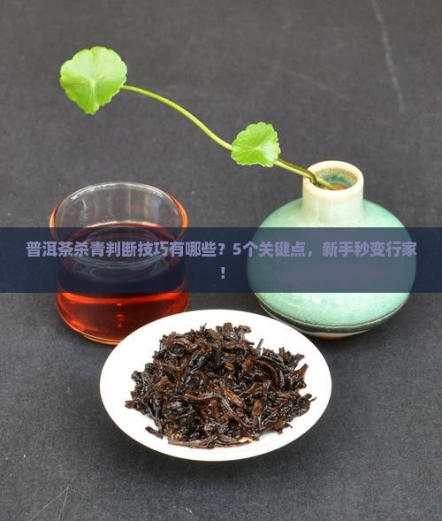 普洱茶杀青判断技巧有哪些