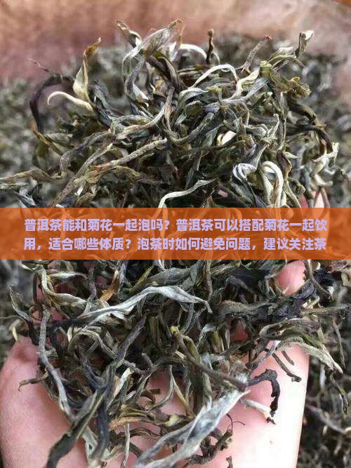 普洱茶能和菊花一起泡吗