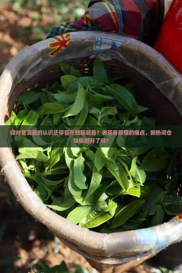 谈谈对普洱茶的认识