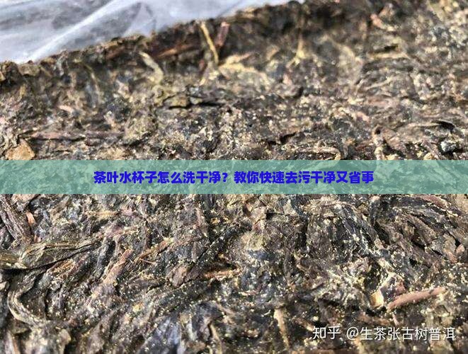 茶叶水杯子怎么洗干净