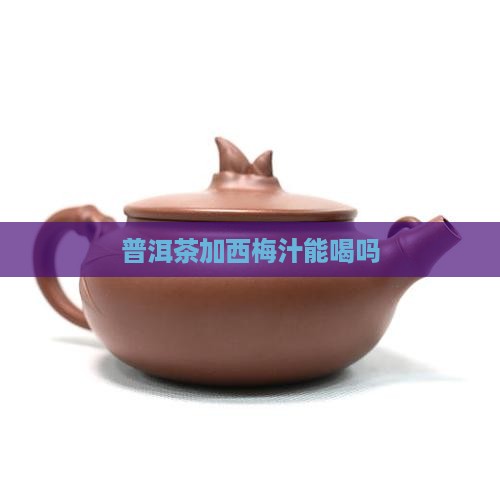 普洱茶加西梅汁能喝吗