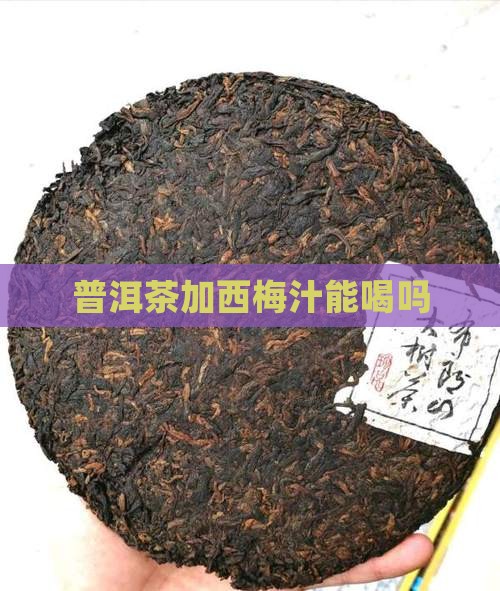 普洱茶加西梅汁能喝吗