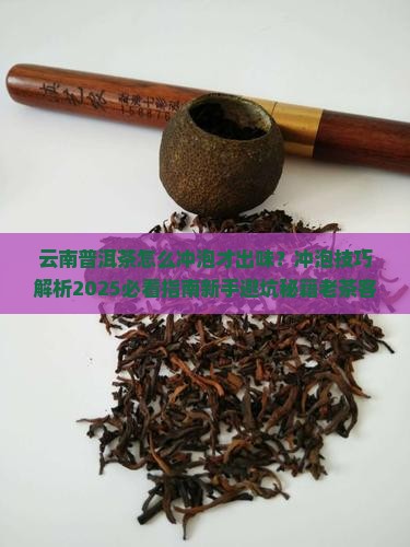 云南普洱茶冲泡技巧和方法