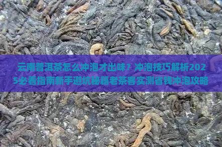 云南普洱茶冲泡技巧和方法
