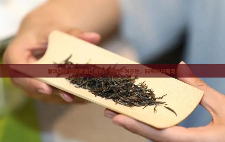 普洱熟茶可以冶口渴