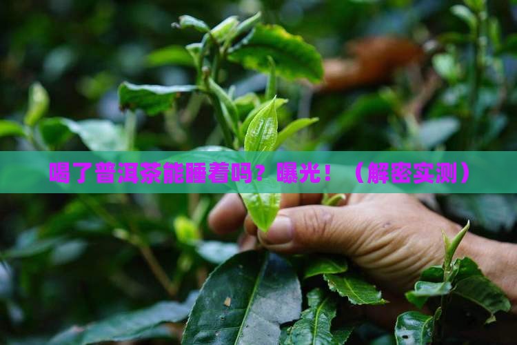 喝了普洱茶能睡着吗