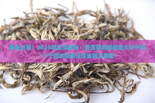 普洱茶都是大叶子吗