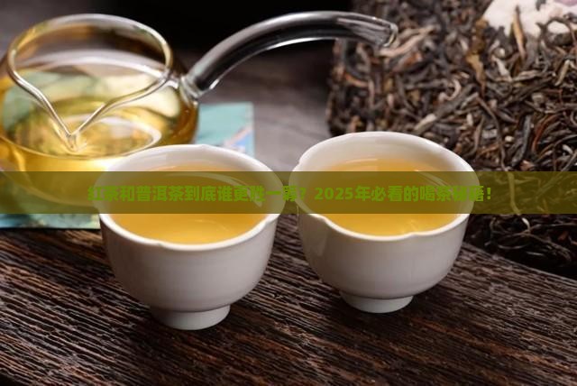 红茶和普洱茶的区别在哪