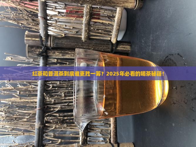 红茶和普洱茶的区别在哪