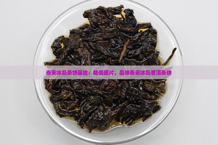 泰安冰岛茶饼基地