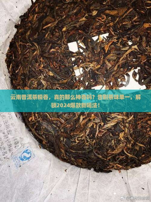 云南普洱茶糯香