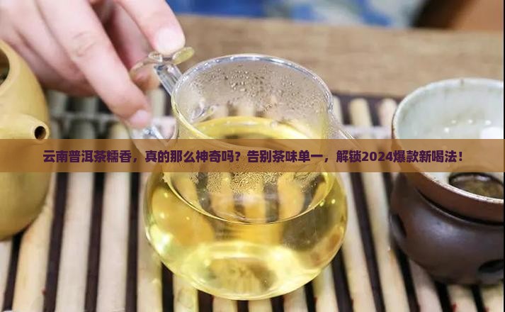 云南普洱茶糯香