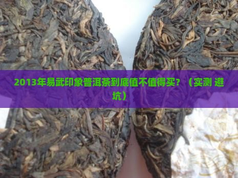 易武印象普洱茶2013