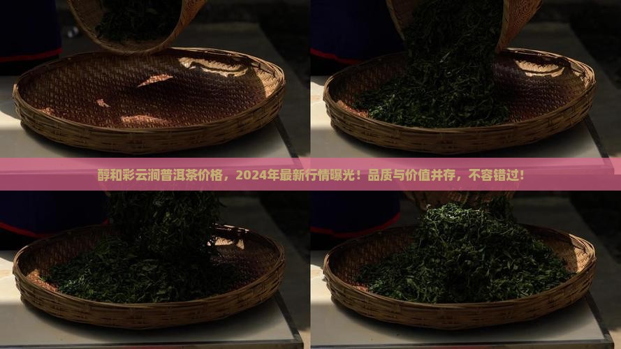 醇和彩云涧普洱茶价格