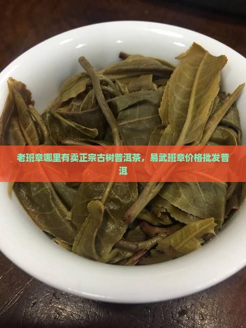 易武老班章哪里有卖