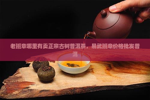 易武老班章哪里有卖