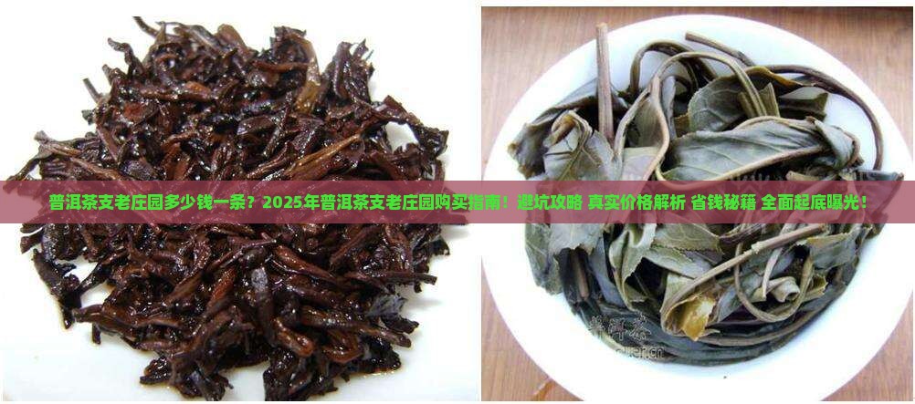 普洱茶支老庄园多少钱一条