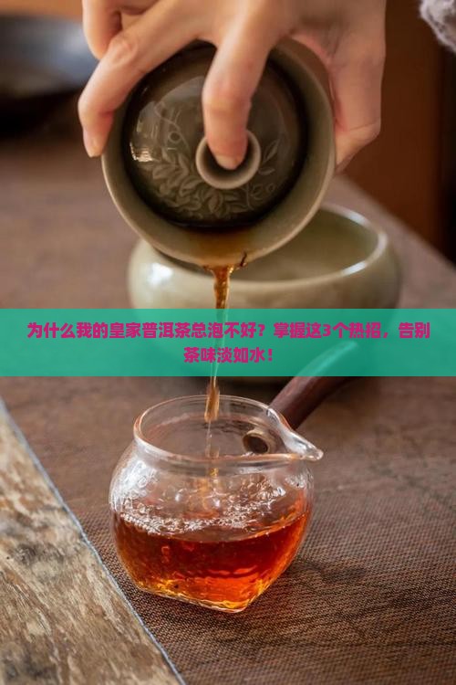 皇家普洱茶冲泡方法