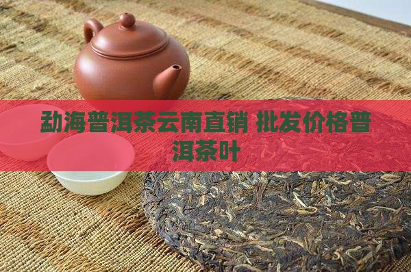 勐海普洱茶产地直销