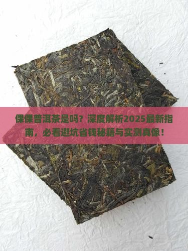 倮倮普洱茶是品牌吗