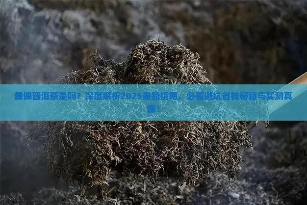 倮倮普洱茶是品牌吗