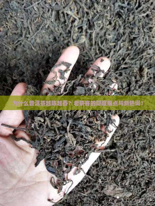 茶叶知识大全普洱茶
