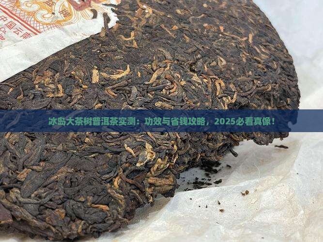 冰岛大茶树普耳茶功效