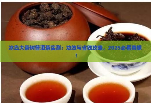 冰岛大茶树普耳茶功效