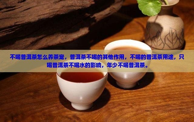 不喝普洱茶怎么养茶宠