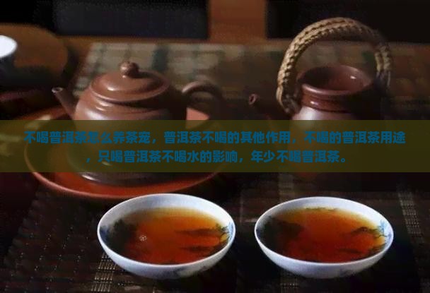 不喝普洱茶怎么养茶宠