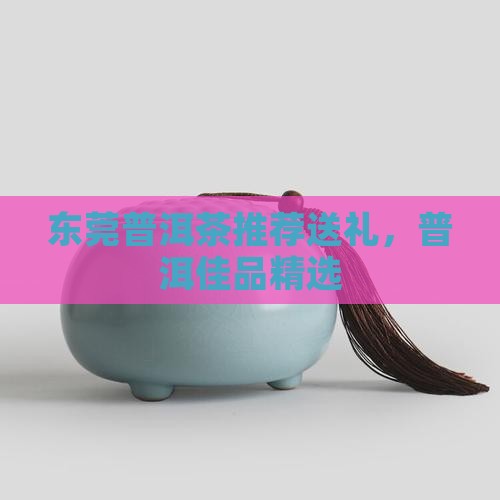 东莞仓的普洱茶推荐送礼