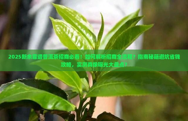 新余靠谱普洱茶招商