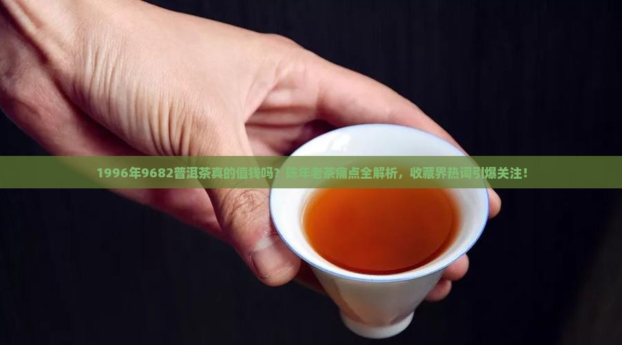 1996年9682普洱茶