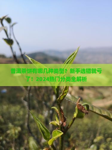 普洱茶饼有哪几种类型