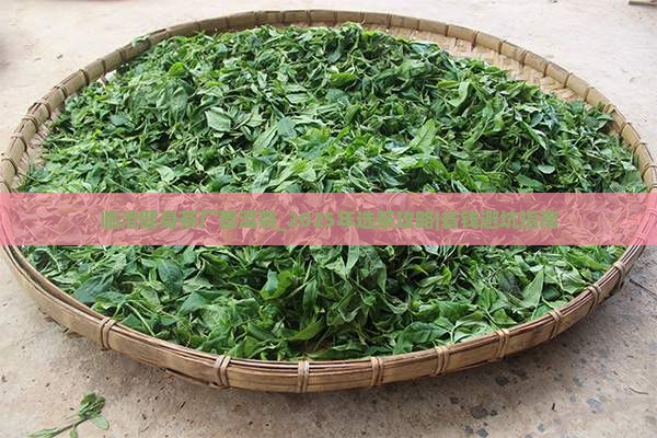 临沧健身茶厂普洱茶