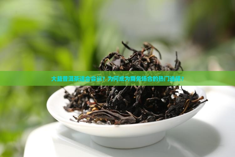 大益普洱茶适合会议